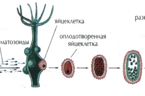 Даркнет зеркало