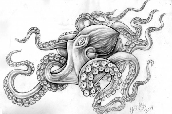 2kr pro kraken