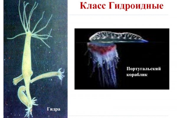 Кракен ссылка рп