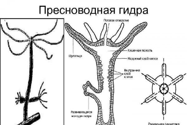 Kraken ссылка на сайт тор