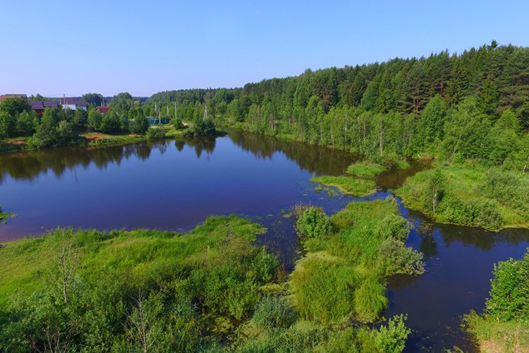 Кракен зеркало store